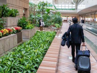 transport från flygplatsen till centrum av staden Tokyo