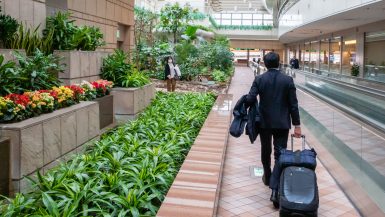 transport från flygplatsen till centrum av staden Tokyo